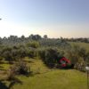 Panoramische Boerderij met olijfgaard - Afbeelding 19