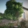 Boerderij Rieti - Afbeelding 7