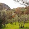 Huis Rieti - Afbeelding 10