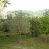 20e eeuwse boerderij in Rieti - Afbeelding 14