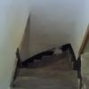 Vrijstaand Huis Rieti - Afbeelding 16