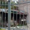 Vrijstaand Huis Rieti - Afbeelding 17