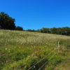 Kavels Golfclub Rieti (nieuwbouw) - Afbeelding 22